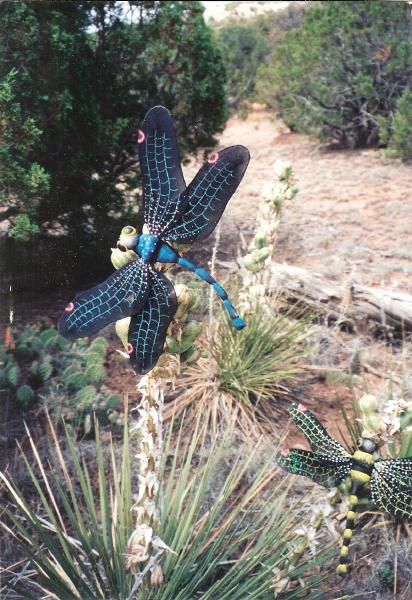 dragonfly-dream-2007-06-16-front.jpg