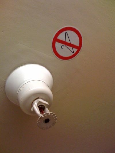 photo.jpg