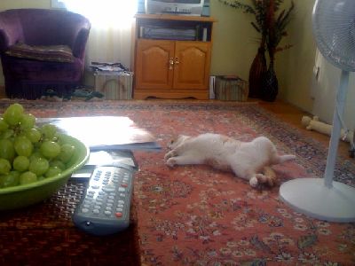 photo.jpg