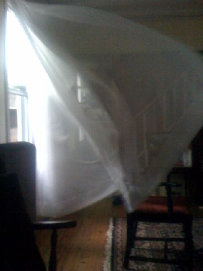 photo.jpg