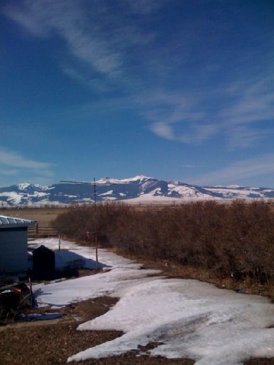photo.jpg