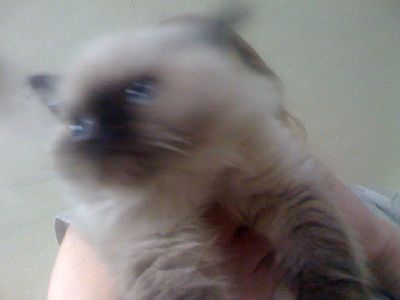 photo.jpg