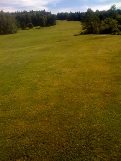 photo.jpg