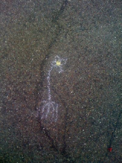 photo.jpg