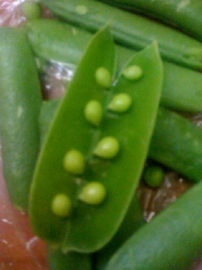 photo.jpg