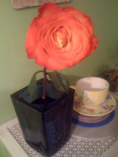 photo.jpg