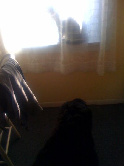 photo.jpg