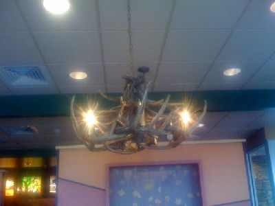 photo.jpg