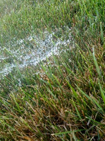 photo.jpg