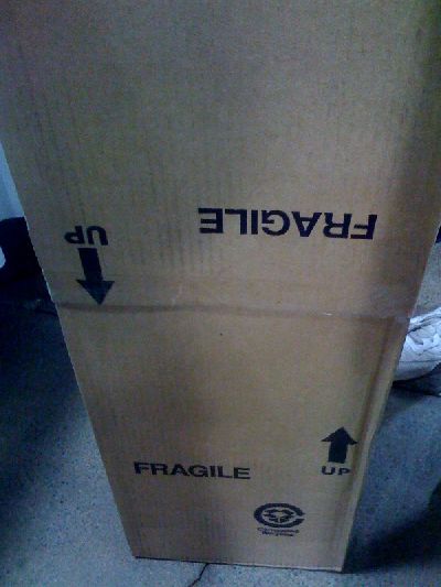 photo.jpg