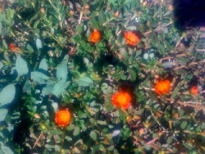 photo.jpg