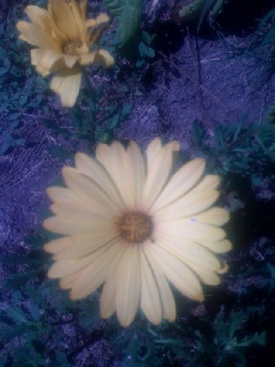 photo.jpg