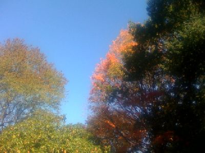 photo.jpg