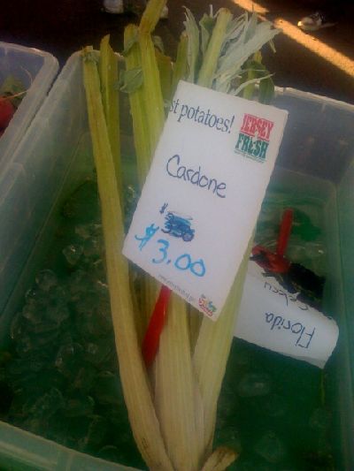 photo.jpg