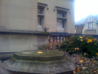 photo.jpg