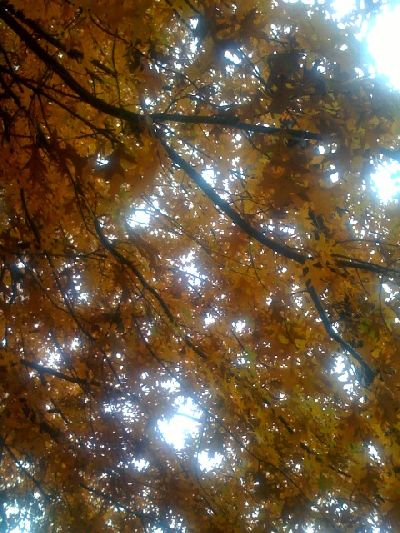 photo.jpg