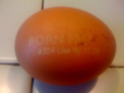 photo.jpg