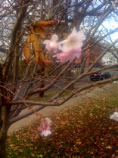 photo.jpg