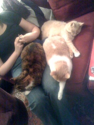 photo.jpg