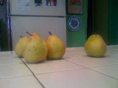 photo.jpg