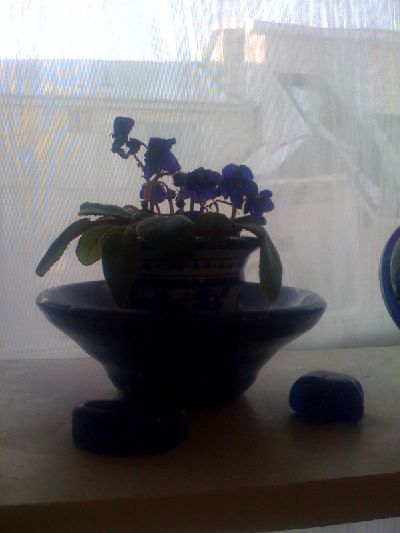 photo.jpg