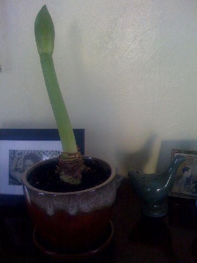 photo.jpg