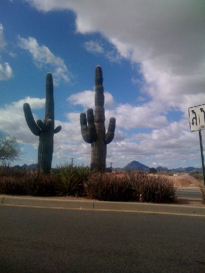 photo.jpg