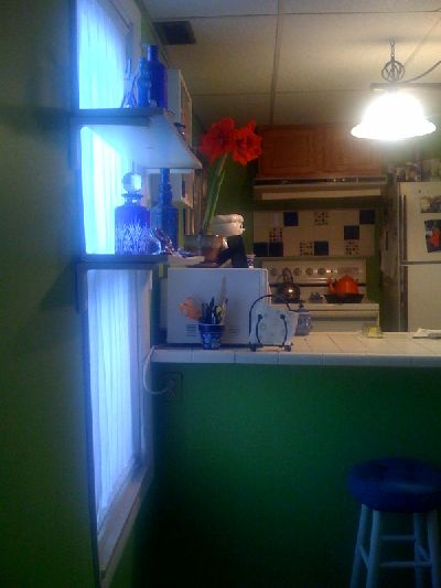 photo.jpg