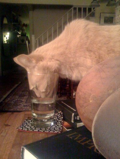 photo.jpg