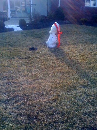 photo.jpg