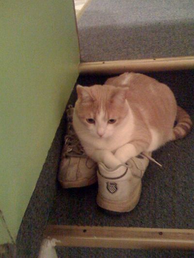 photo.jpg