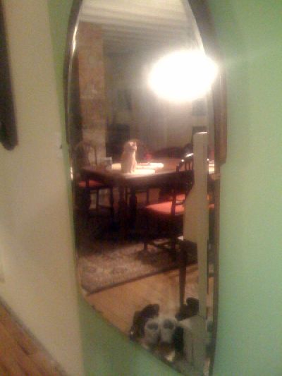photo.jpg