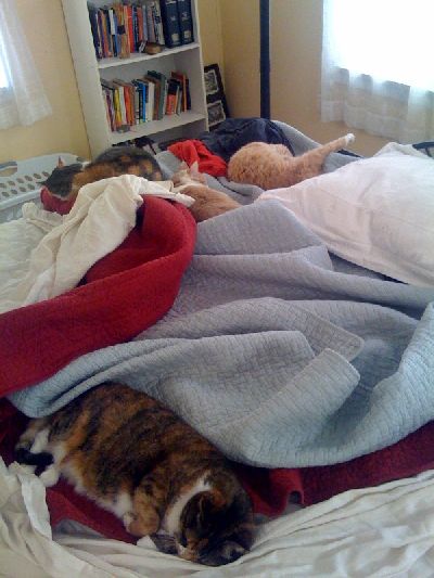 photo.jpg