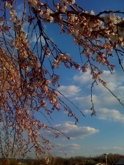 photo.jpg