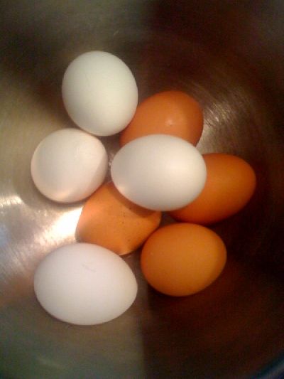 photo.jpg