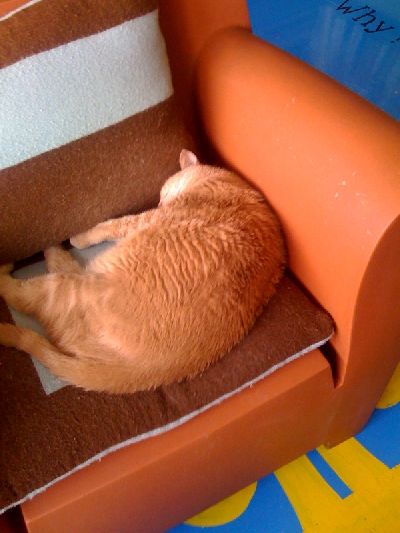 photo.jpg