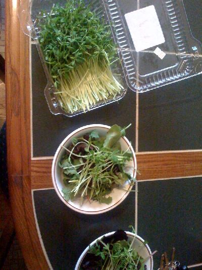 photo.jpg