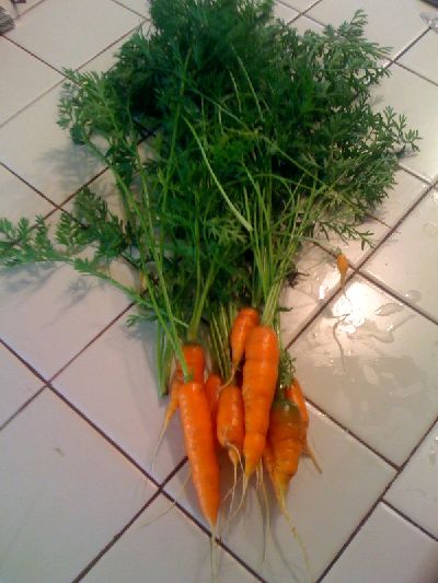 photo.jpg