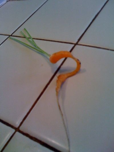 photo.jpg