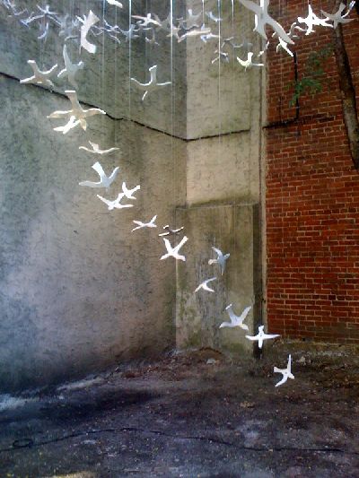 photo.jpg