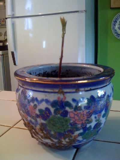 photo.jpg