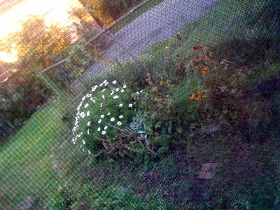 photo.jpg