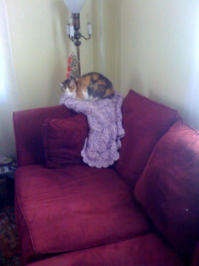 photo.jpg