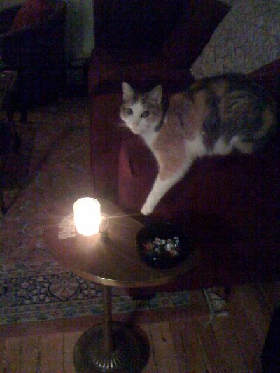 photo.jpg