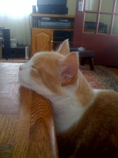 photo.jpg