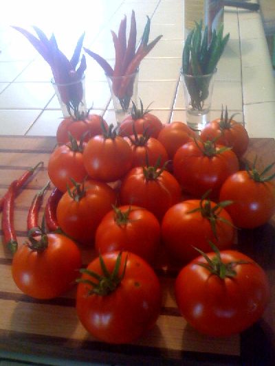 photo.jpg